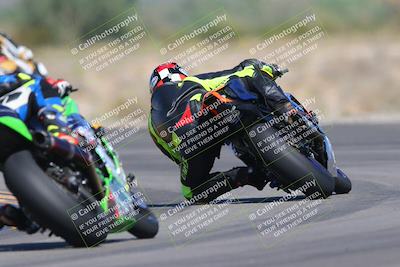 media/Oct-01-2023-SoCal Trackdays (Sun) [[4c570cc352]]/Turn 14 Backside (1120am)/